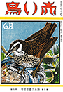 復刊9巻6号「つぐみ」