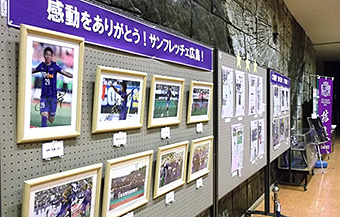 サンフレッチェ広島サテライト展示「優勝おめでとう！今年は記録ラッシュ！紫士たちの健闘を称えよう！」