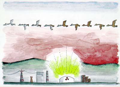 東海村の渡り鳥