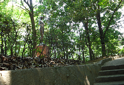 『イブ』の写真