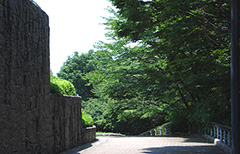 『安芸の翼』の写真