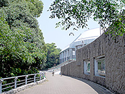 現代美術館の写真